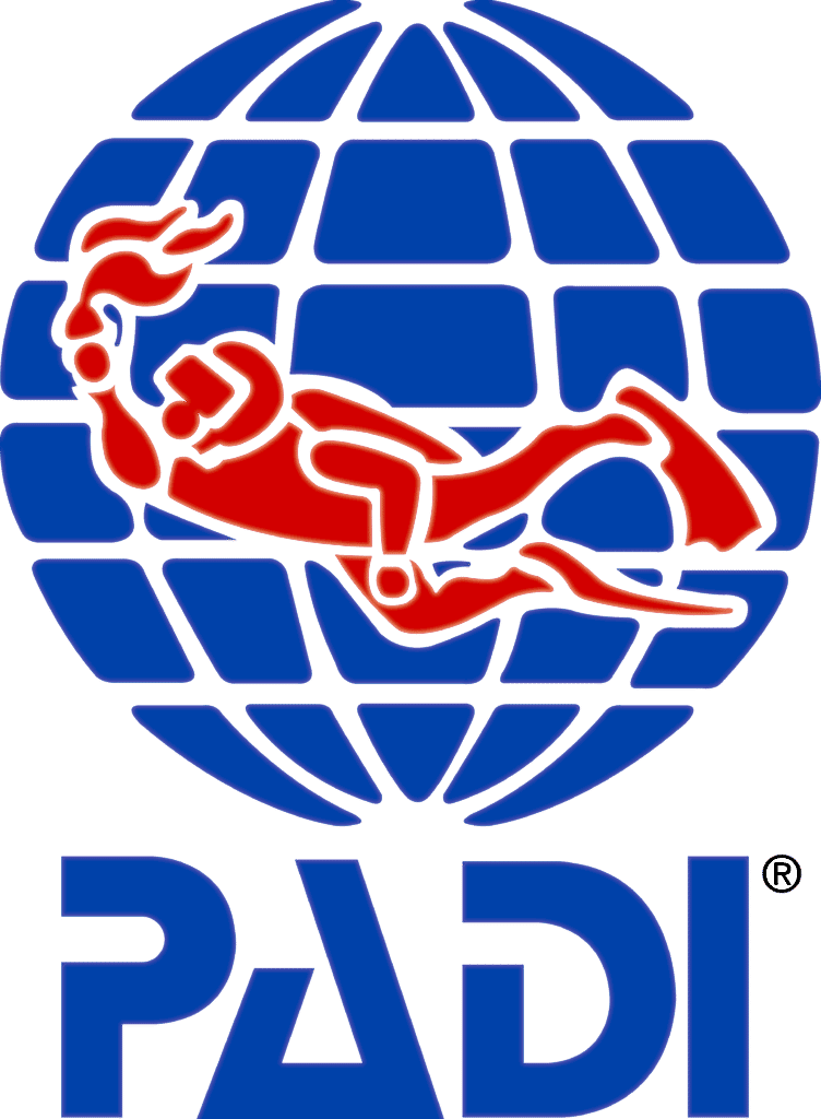 padi egitimi